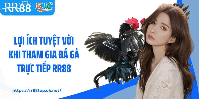 Lợi ích tuyệt vời khi tham gia đá gà trực tiếp RR88