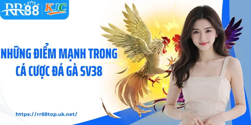Những điểm mạnh trong cá cược đá gà SV38