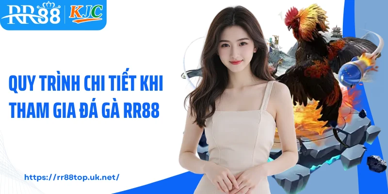 Quy trình chi tiết khi tham gia đá gà RR88